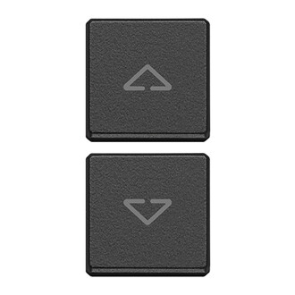 Две плоск. клавиши, символы 