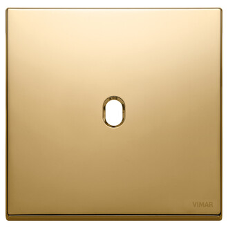 Накл. плоск., 2 модуля на 1 кнопку, металл золото